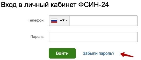 Как зарегистрироваться в системе ФСИН-24 и войти в личный кабинет