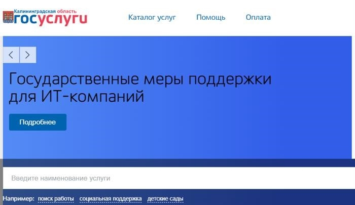 В Калининградской области заработал региональный портал «Гослуги