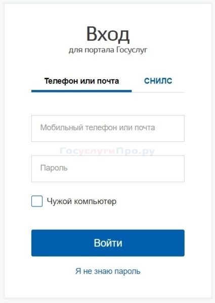Войти в Госуслуги